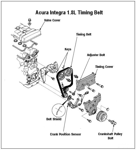 Timing belt 1996 Acura 1.8L